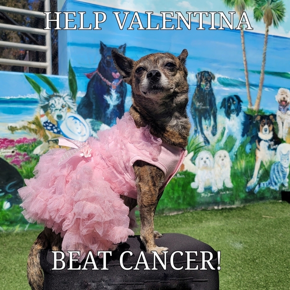 Prada Sandals - Picture 3 of 7